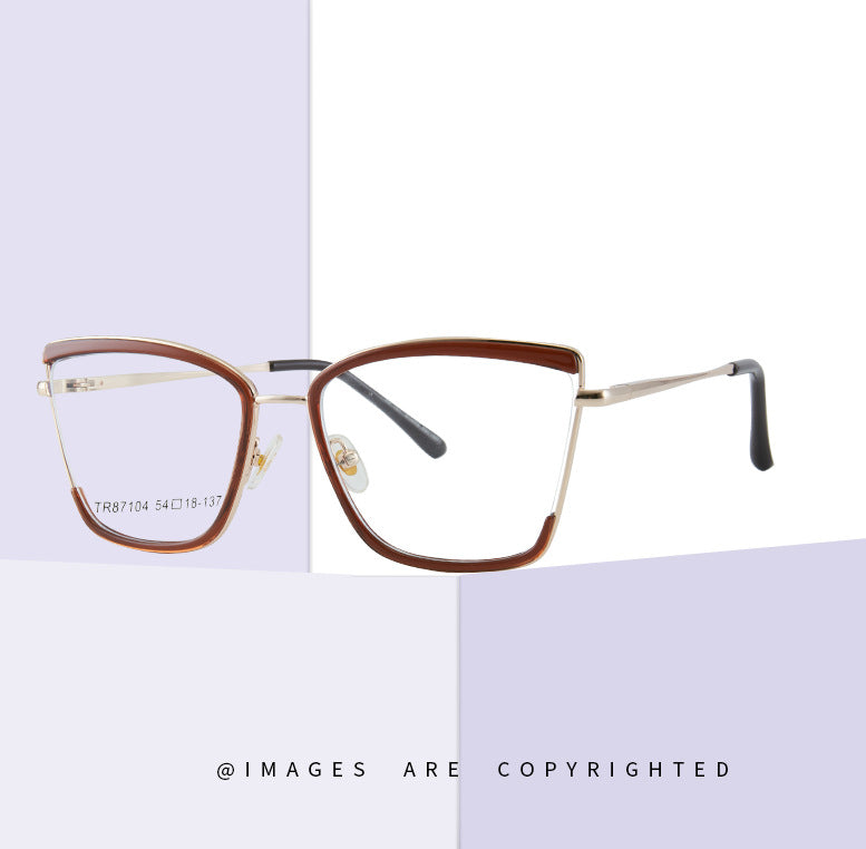 TR90Anti-Blue Light Glasses Box Cat Eye Color Matching Glasses Frame Spectacle Foot Full Rim Frame Metal Optical Frame